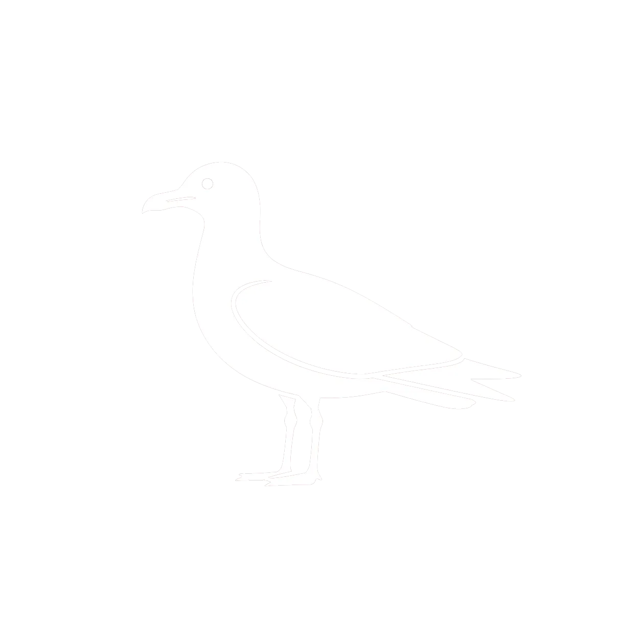 Icône Goéland leucophée (Larus michahellis) dépigeonnage BS Désinfection