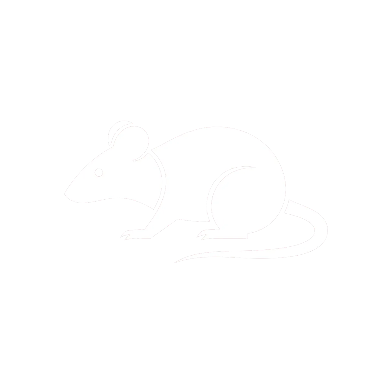 Icône rats dératisation BS Désinfection