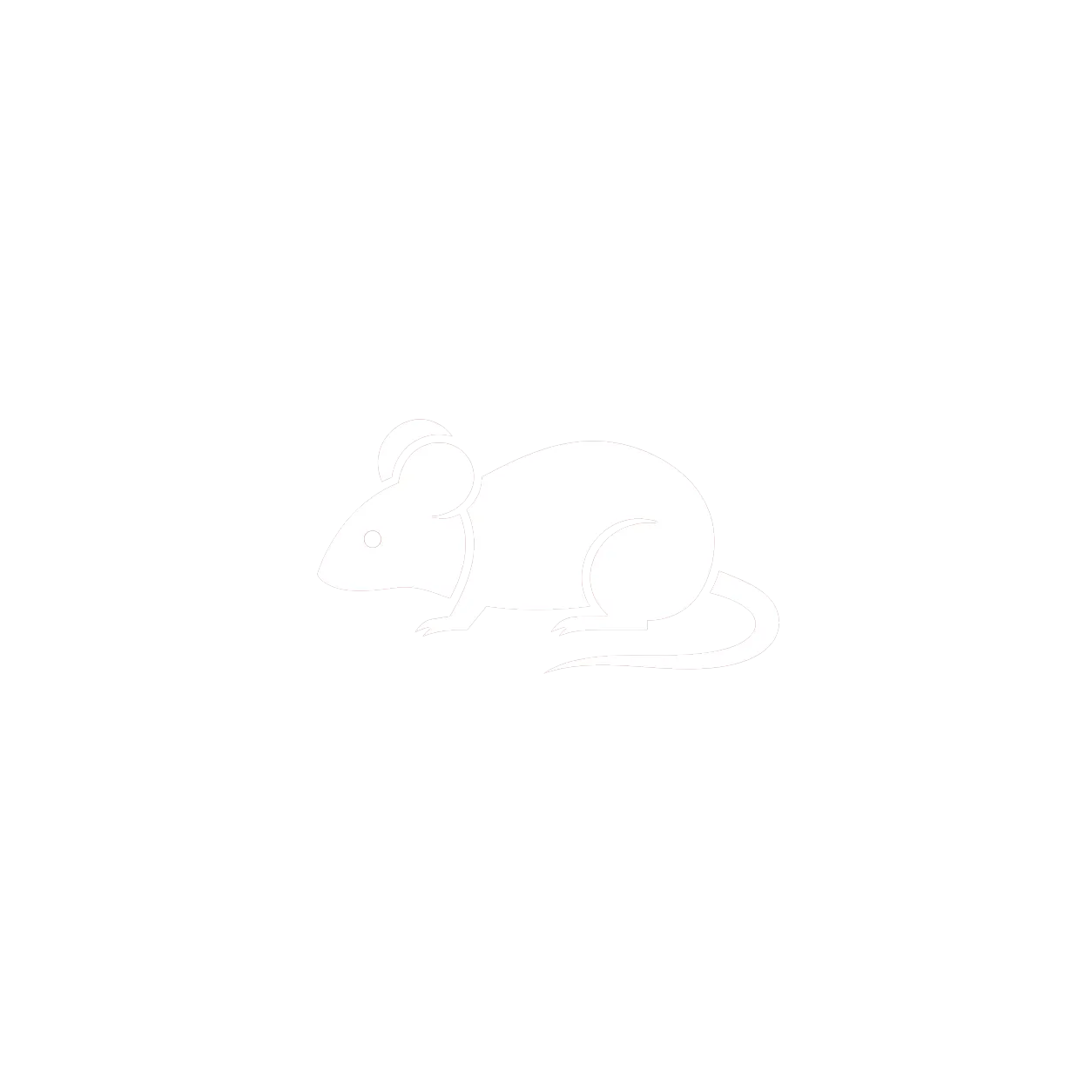 Icône souris dératisation BS Désinfection